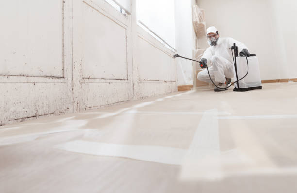 24/7 Emergency Crawl Space Mold Removal experts in Fort Belvoir, VA