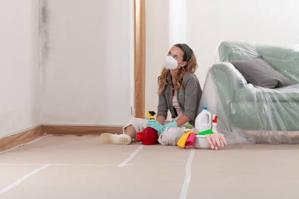 Reliable Crawl Space Mold Removal contractor in Fort Belvoir, VA by WQB Mold Removal
