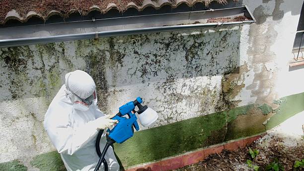 Top rated local Crawl Space Mold Removal specialists in Fort Belvoir, VA